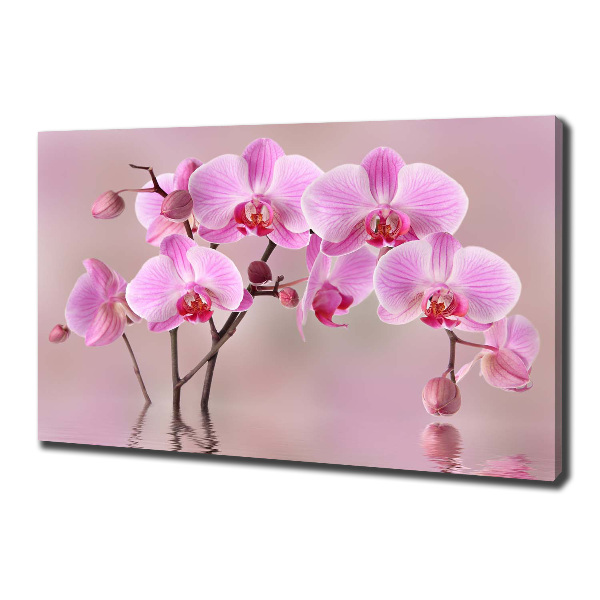 Canvas foto Roze orchidee