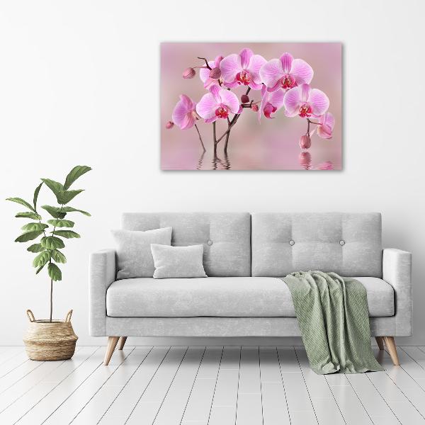 Canvas foto Roze orchidee