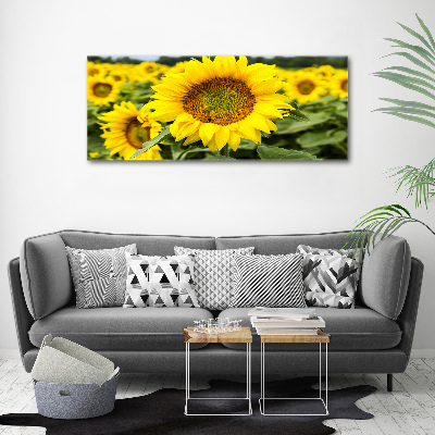 Canvas schilderij Een veld met zonnebloemen