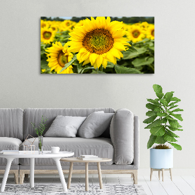 Canvas schilderij Een veld met zonnebloemen