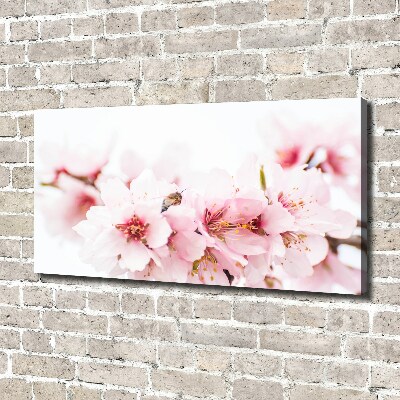 Schilderij op canvas Kersenbloesems