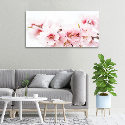 Schilderij op canvas Kersenbloesems