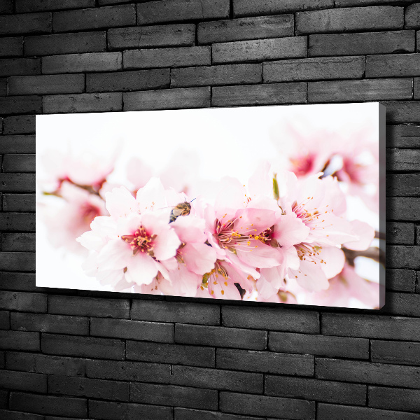 Schilderij op canvas Kersenbloesems