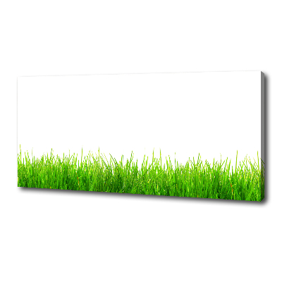 Foto canvas Gras