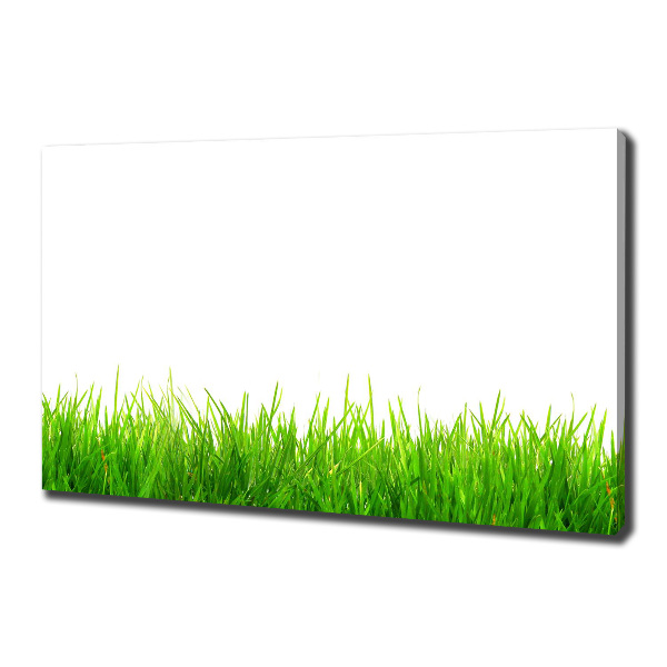 Foto canvas Gras