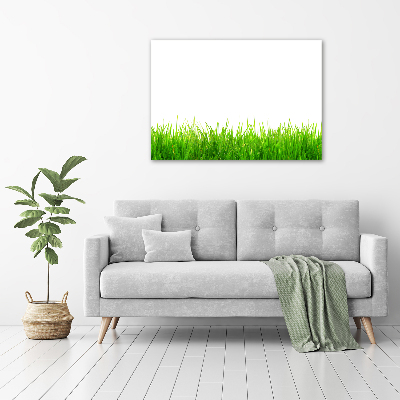 Foto canvas Gras