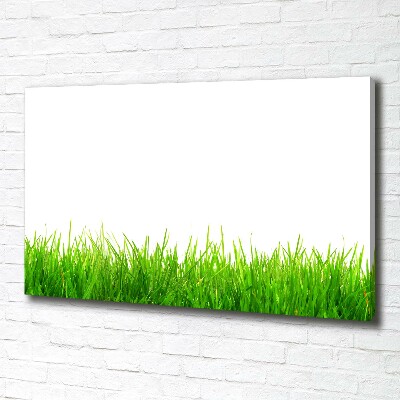 Foto canvas Gras