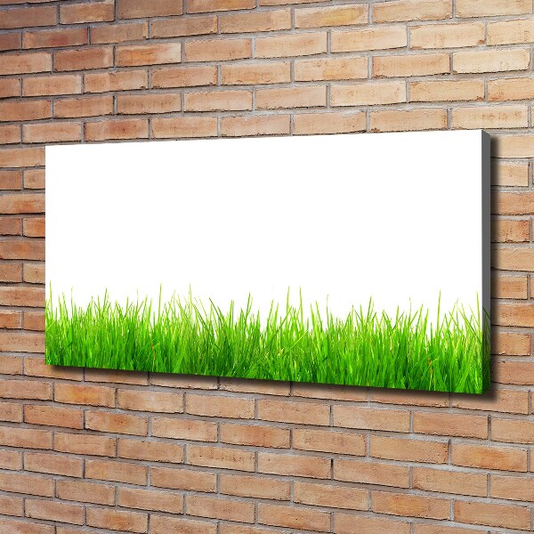 Foto canvas Gras