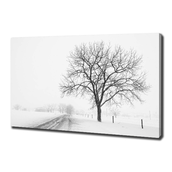 Schilderij op canvas Boom in de winter