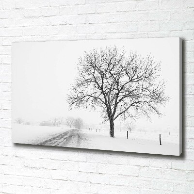 Schilderij op canvas Boom in de winter