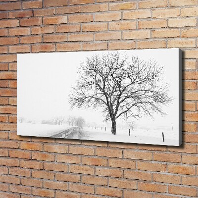 Schilderij op canvas Boom in de winter