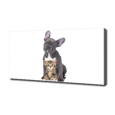 Canvas foto Hond en kat