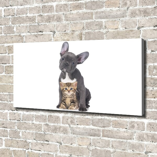 Canvas foto Hond en kat