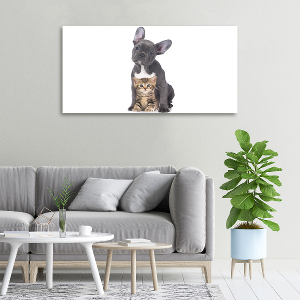 Canvas foto Hond en kat
