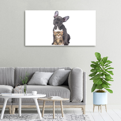 Canvas foto Hond en kat