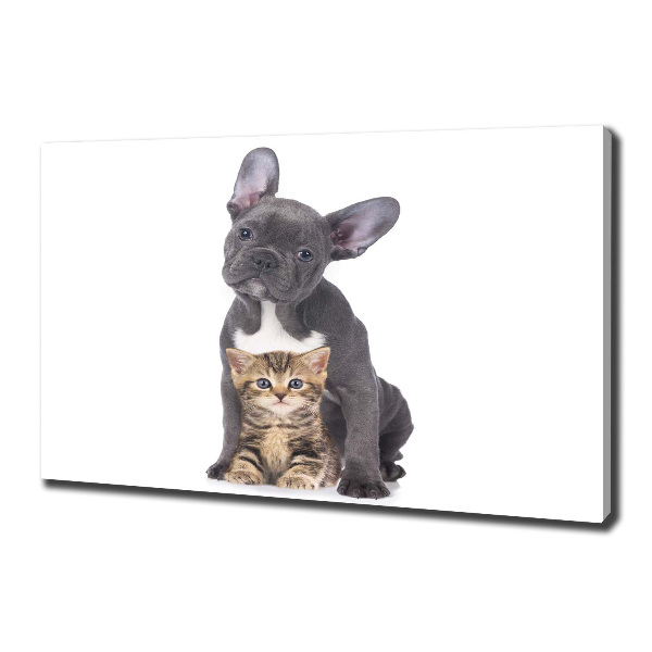 Canvas foto Hond en kat