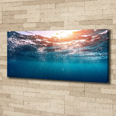 Foto canvas Onderwaterwereld