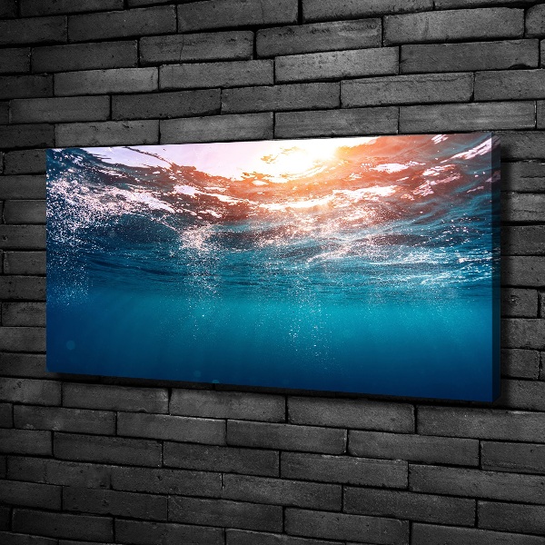 Foto canvas Onderwaterwereld
