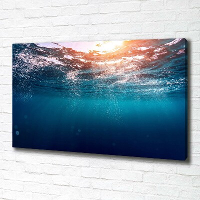 Foto canvas Onderwaterwereld