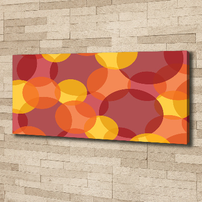 Schilderij op canvas Kleurrijke cirkels