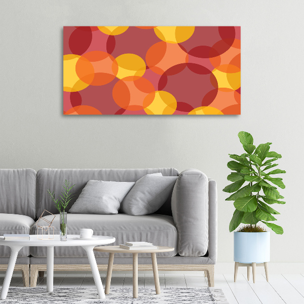 Schilderij op canvas Kleurrijke cirkels