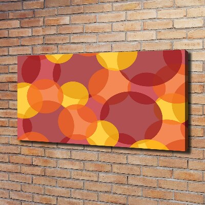 Schilderij op canvas Kleurrijke cirkels