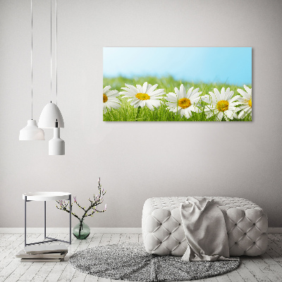 Foto canvas Madeliefjes