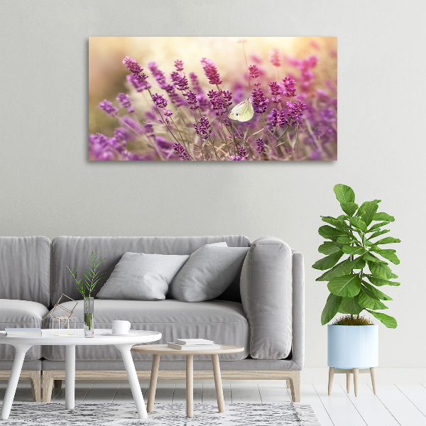 Foto op canvas Lavendel