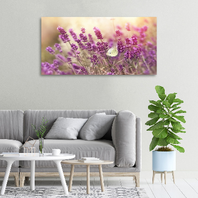 Foto op canvas Lavendel