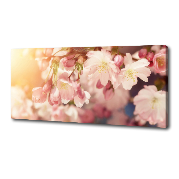 Canvas foto Kersenbloesems