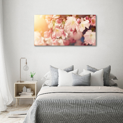 Canvas foto Kersenbloesems