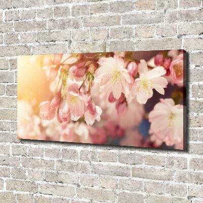 Canvas foto Kersenbloesems