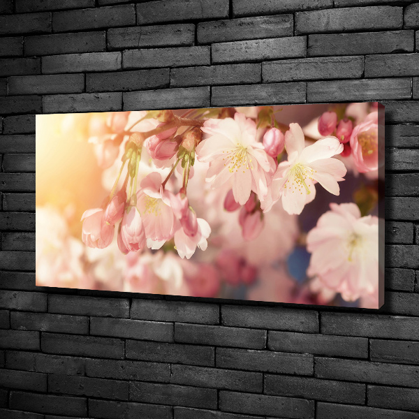 Canvas foto Kersenbloesems