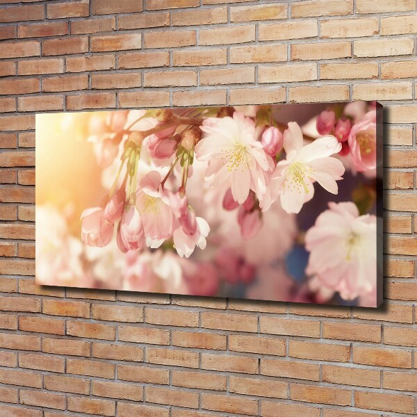 Canvas foto Kersenbloesems