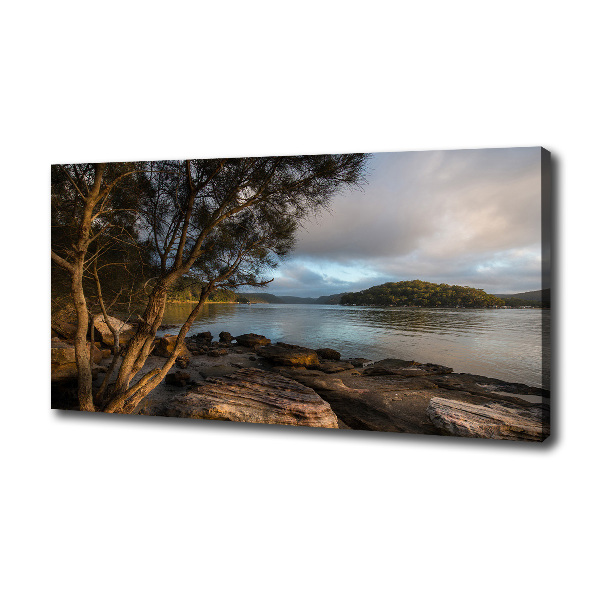 Canvas foto Een boom aan de rivier