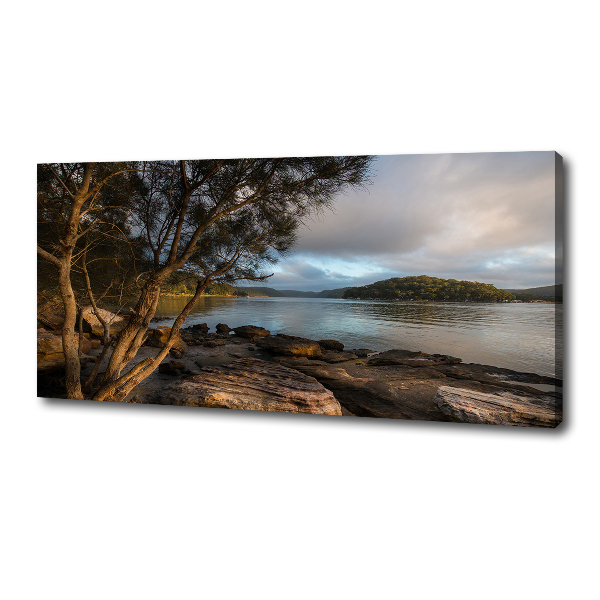 Canvas foto Een boom aan de rivier