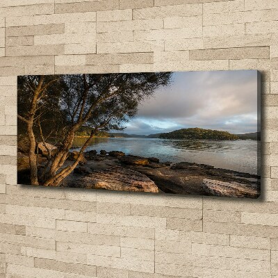 Canvas foto Een boom aan de rivier