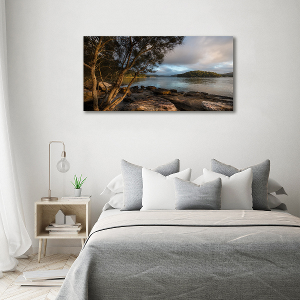 Canvas foto Een boom aan de rivier