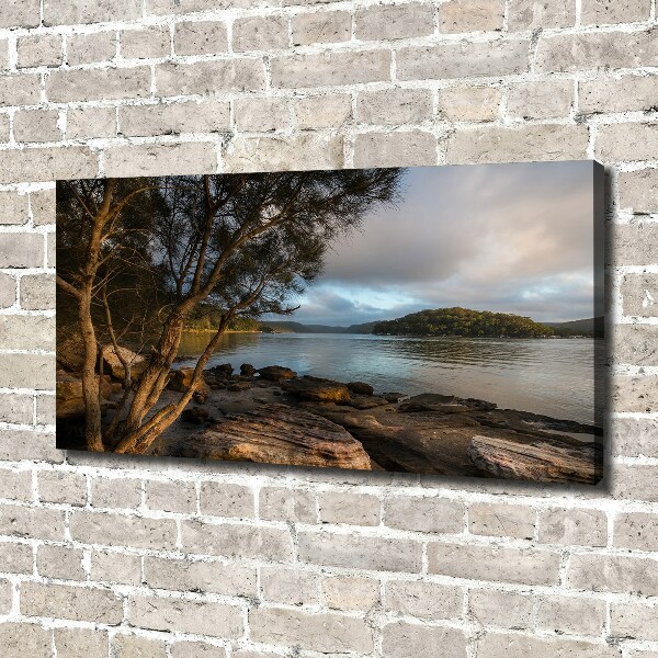 Canvas foto Een boom aan de rivier