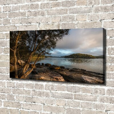 Canvas foto Een boom aan de rivier