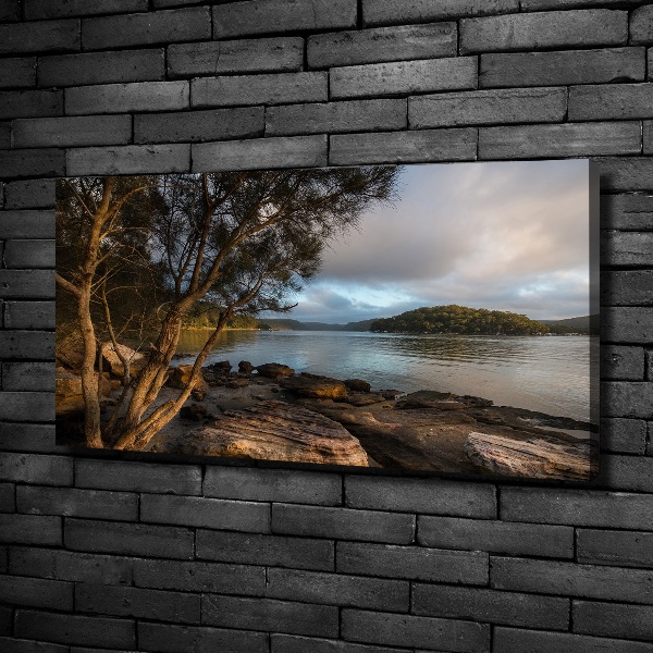 Canvas foto Een boom aan de rivier