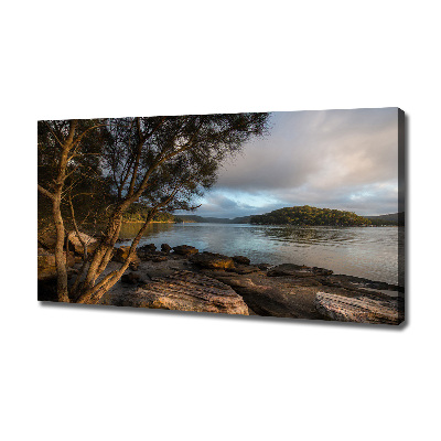 Foto obraz na płótnie Drzewo nad rzeką