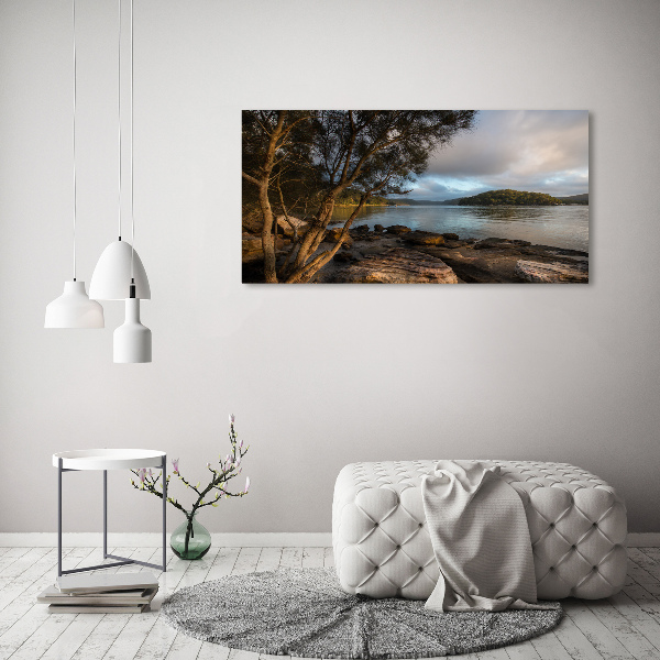 Canvas foto Een boom aan de rivier