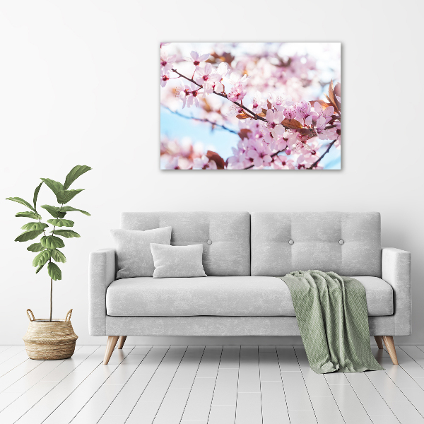 Schilderij op canvas Kersenbloesems
