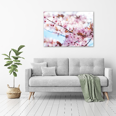 Schilderij op canvas Kersenbloesems
