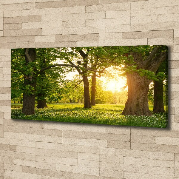 Canvas schilderij Bomen in het park