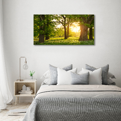 Canvas schilderij Bomen in het park