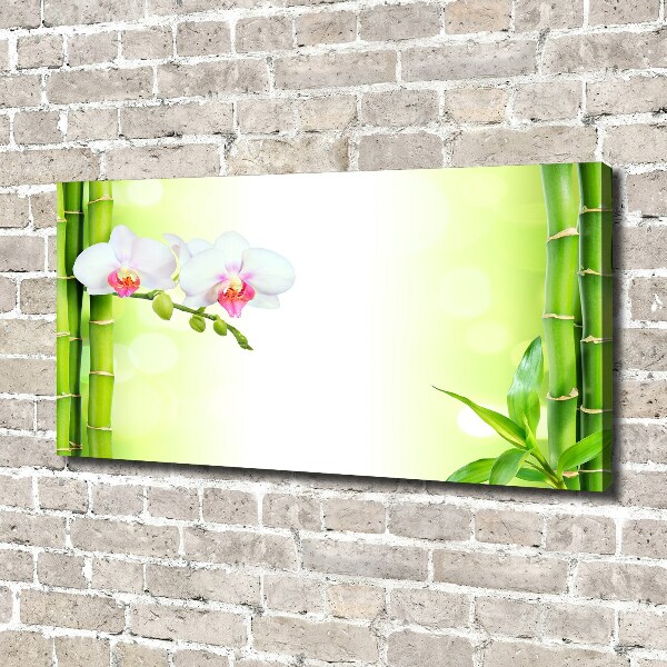 Foto canvas Orchidee en bamboe