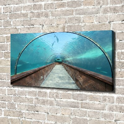 Schilderij op canvas Aquariumtunnel