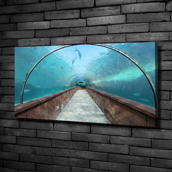Schilderij op canvas Aquariumtunnel